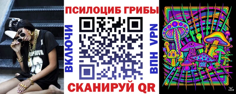 дарк нет клад  Павлово  Галлюциногенные грибы Psilocybe  blacksprut маркетплейс 